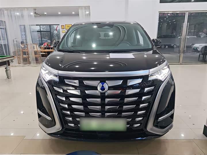 Фото 3 - Denza D9