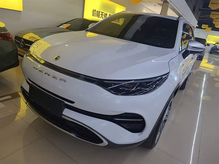 Фото 2 - Denza X