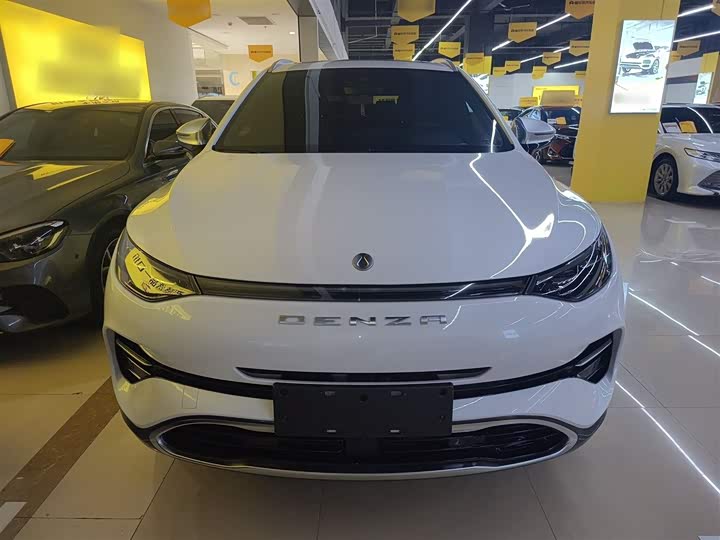 Фото 3 - Denza X