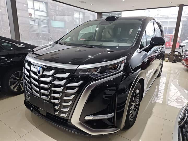 Фото 1 - Denza D9