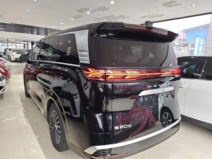 Фото 5 - Denza D9