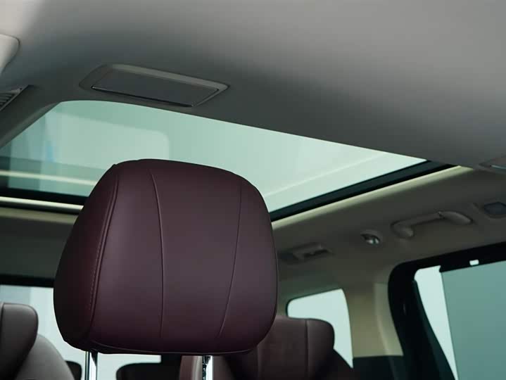 Фото 4 - Hongqi HQ9