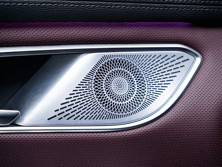 Фото 8 - Hongqi HQ9