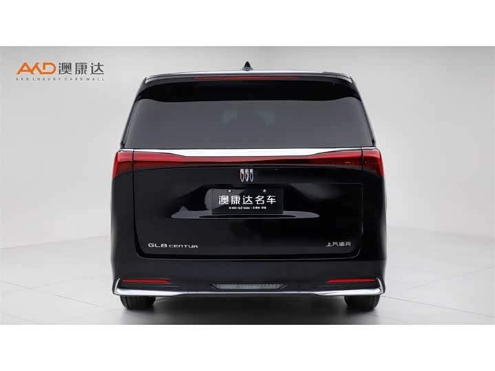 Фото 4 - Buick GL8 Century