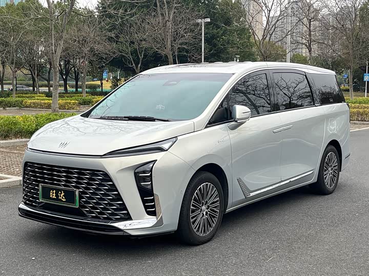 Фото 1 - Buick GL8 Hybrid