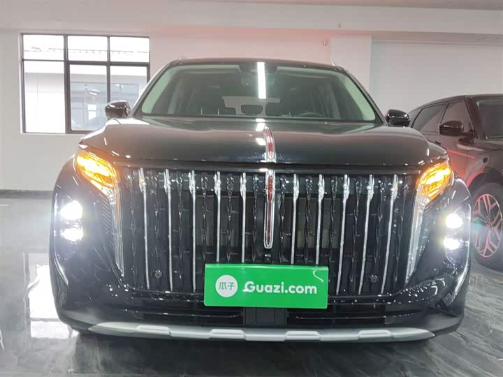 Фото 3 - Hongqi HS7 Hybrid