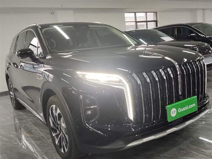 Фото 4 - Hongqi HS7 Hybrid