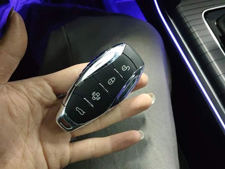 Фото 9 - Hongqi HS7 Hybrid