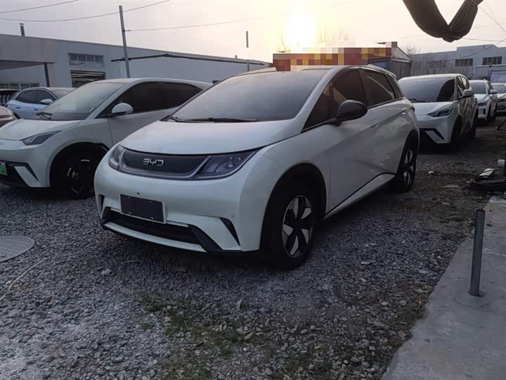 Фото 2 - BYD Dolphin