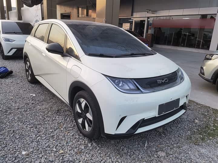 Фото 4 - BYD Dolphin