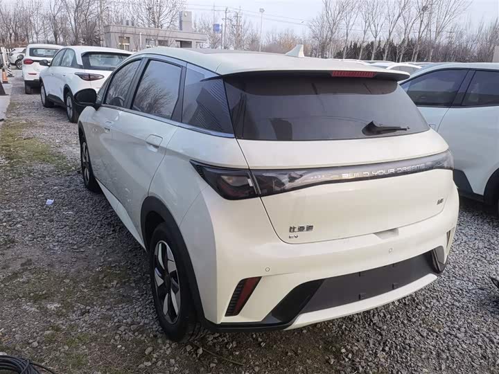 Фото 5 - BYD Dolphin