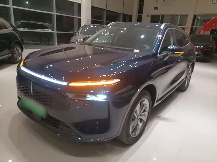 Фото 2 - Wey Mocca Hybrid