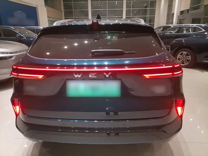 Фото 6 - Wey Mocca Hybrid