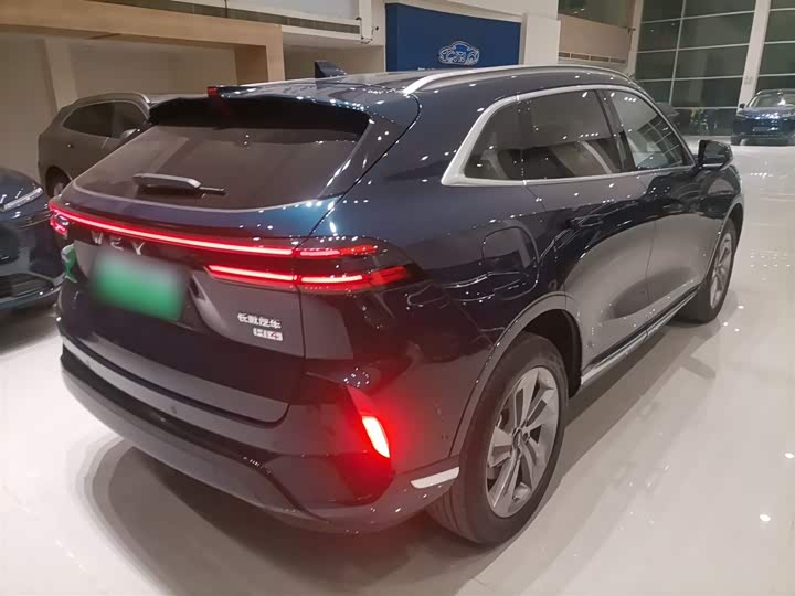 Фото 7 - Wey Mocca Hybrid