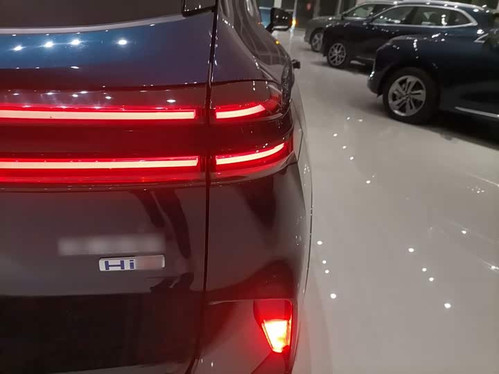 Фото 8 - Wey Mocca Hybrid