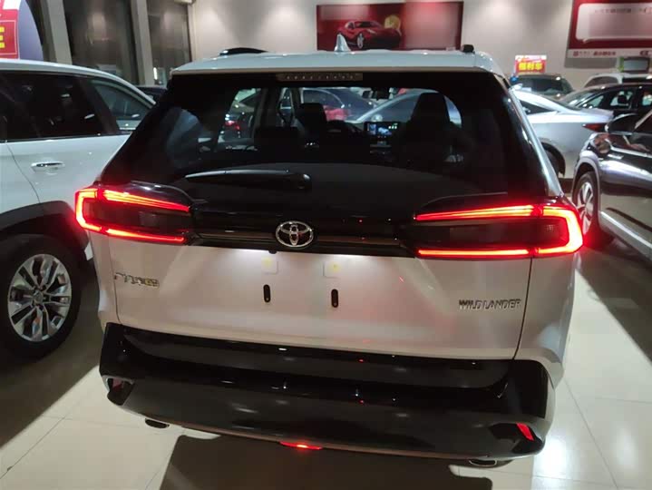 Фото 6 - Toyota Wildlander