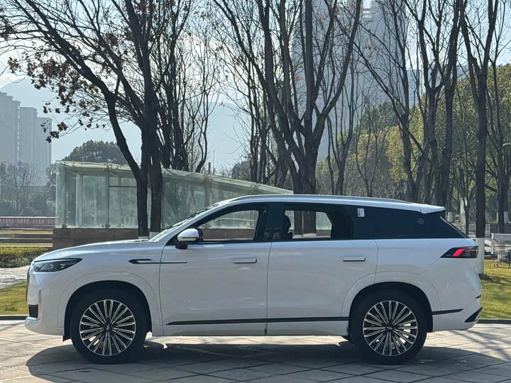 Фото 6 - Chery Tiggo 9