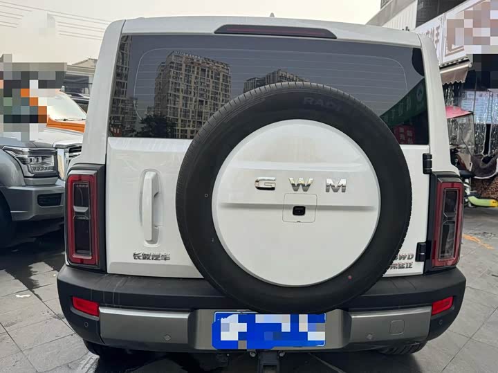 Фото 5 - Haval Raptor