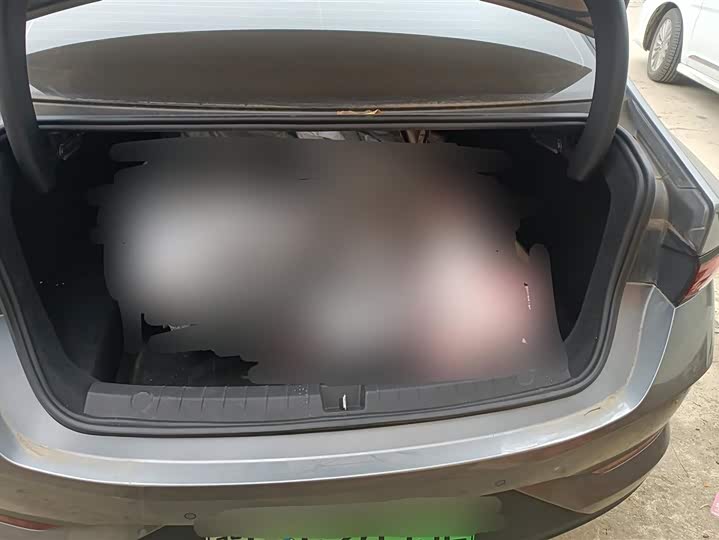 Фото 4 - BYD Qin Plus