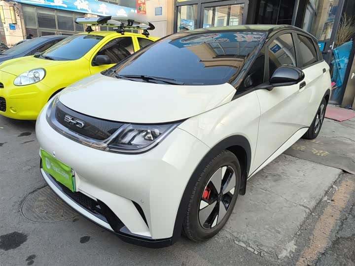 Фото 2 - BYD Dolphin