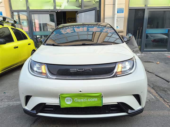 Фото 3 - BYD Dolphin