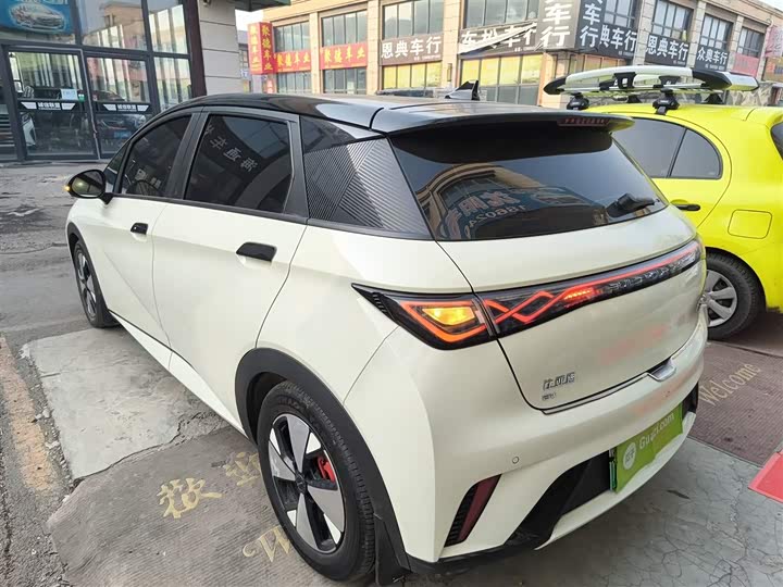 Фото 5 - BYD Dolphin