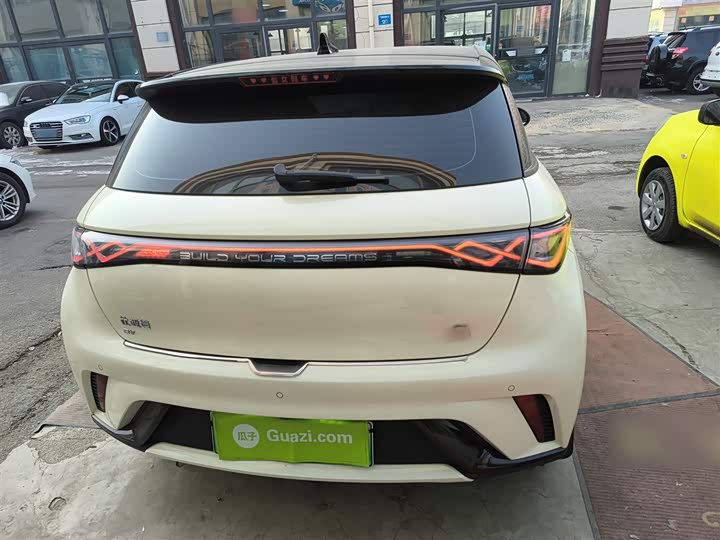 Фото 6 - BYD Dolphin