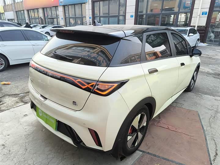 Фото 7 - BYD Dolphin