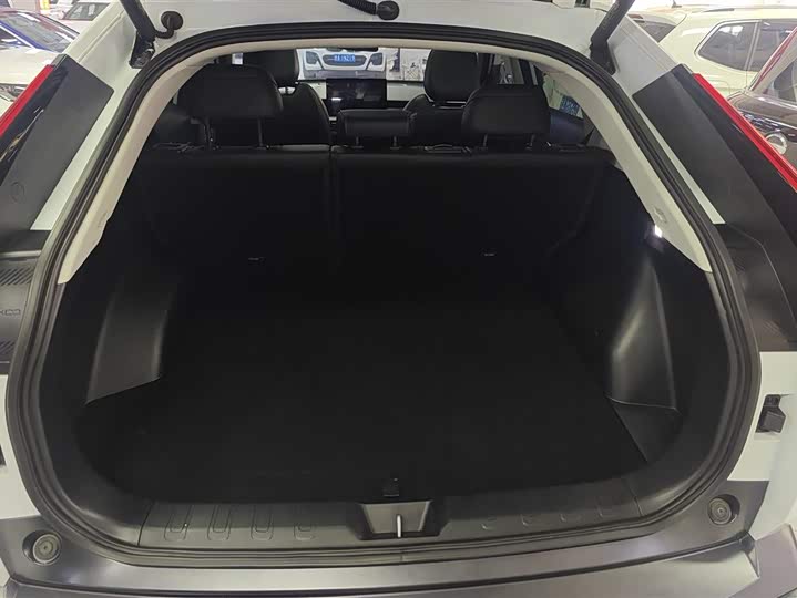 Фото 4 - GAC Trumpchi Emkoo