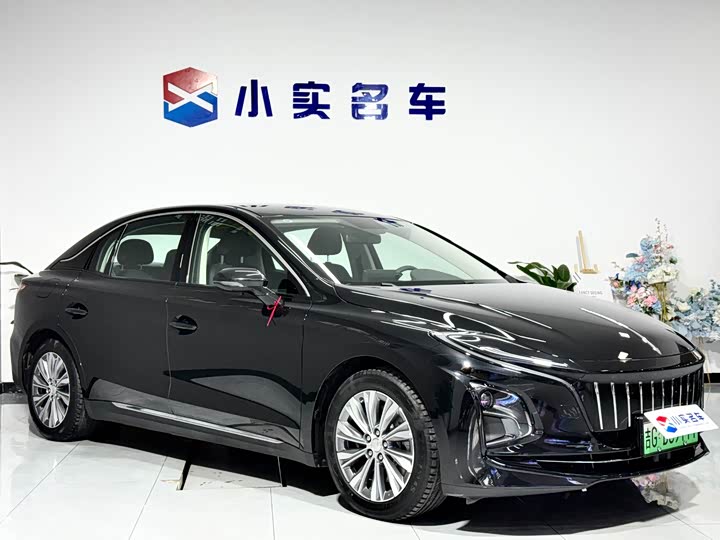 Фото 3 - Hongqi E-QM5