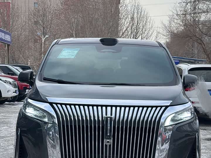 Фото 2 - Wey Gaoshan