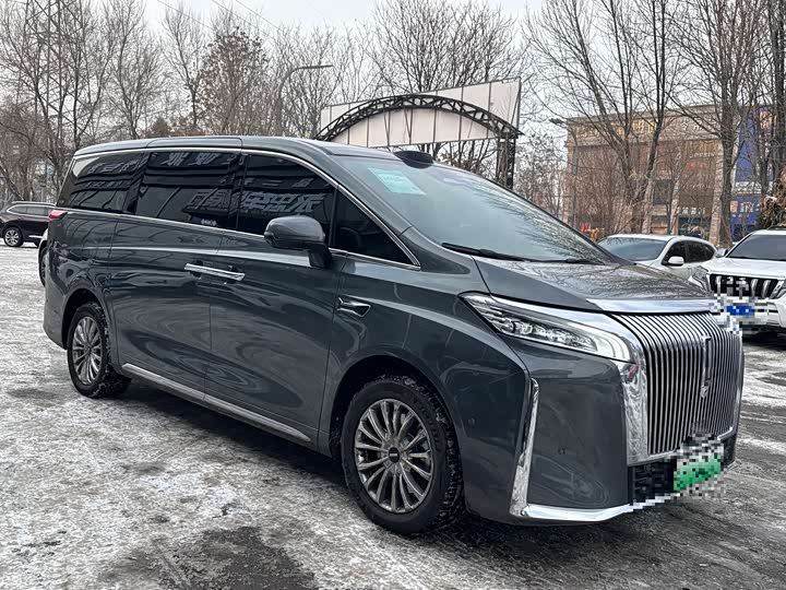 Фото 3 - Wey Gaoshan