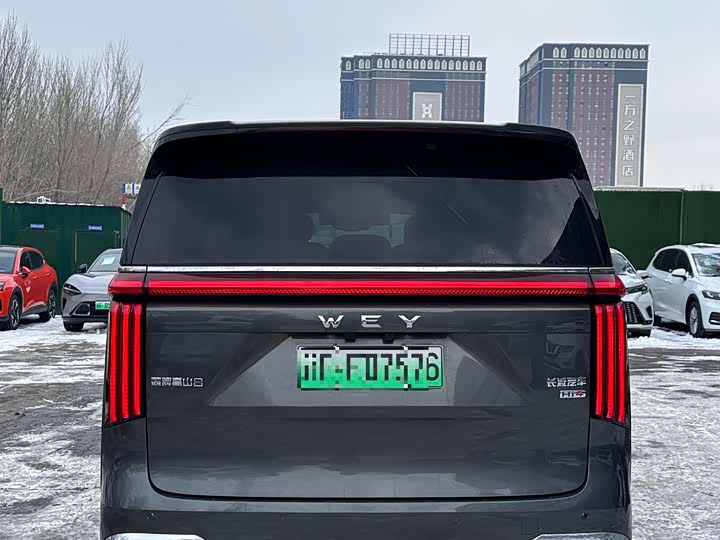 Фото 8 - Wey Gaoshan