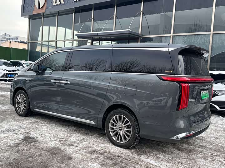 Фото 9 - Wey Gaoshan