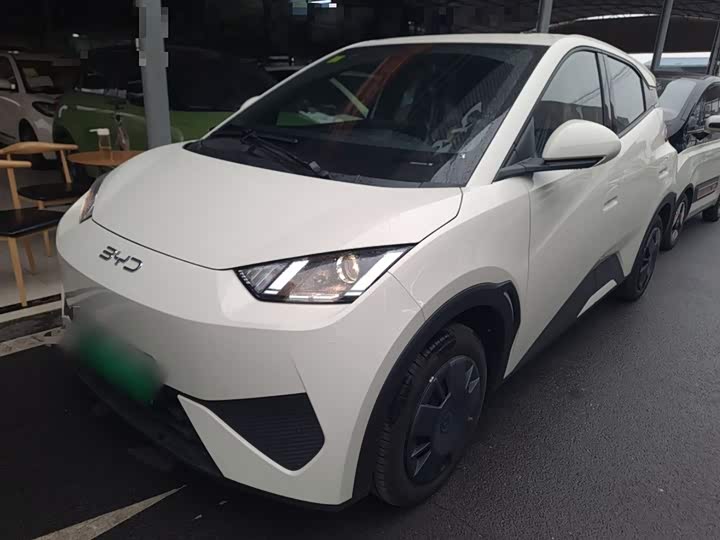 Фото 1 - BYD Seagull