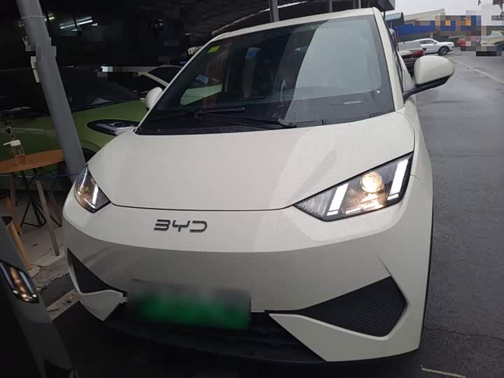 Фото 3 - BYD Seagull