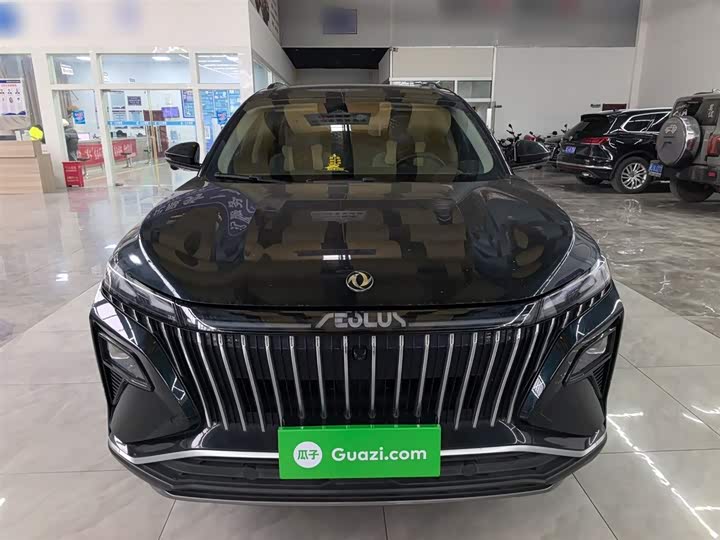 Фото 3 - Dongfeng Aeolus Haoji