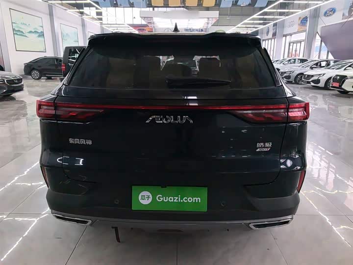 Фото 6 - Dongfeng Aeolus Haoji