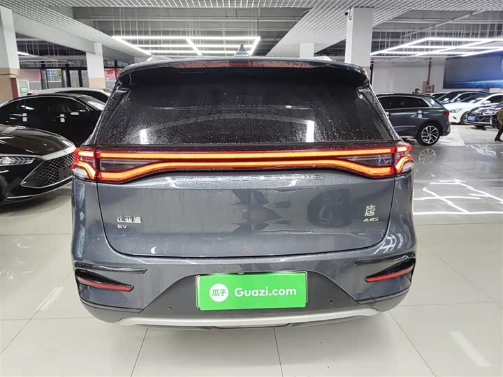 Фото 6 - BYD Tang Hybrid/EV