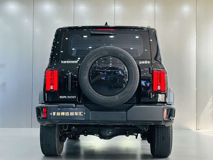 Фото 9 - Tank 300