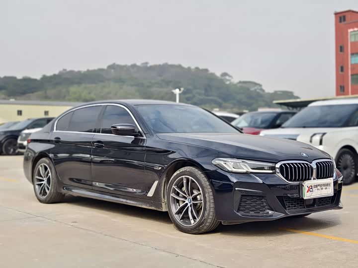 Фото 2 - BMW 5 Series Hybrid
