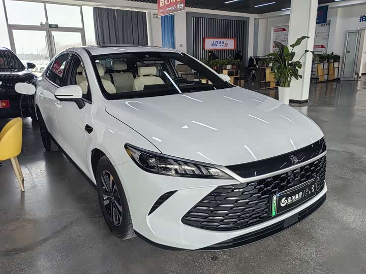 Фото 7 - BYD Qin Plus