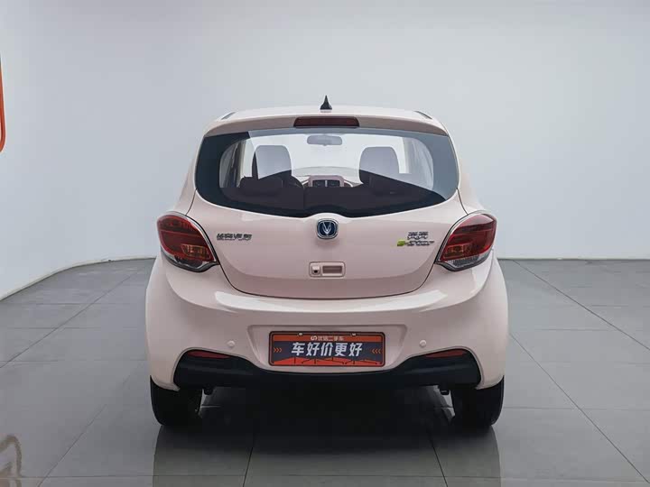 Фото 4 - Changan BenBen E-Star