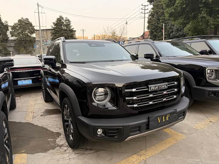 Фото 3 - Haval Dargo