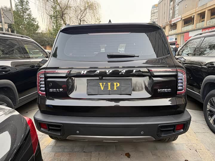 Фото 9 - Haval Dargo