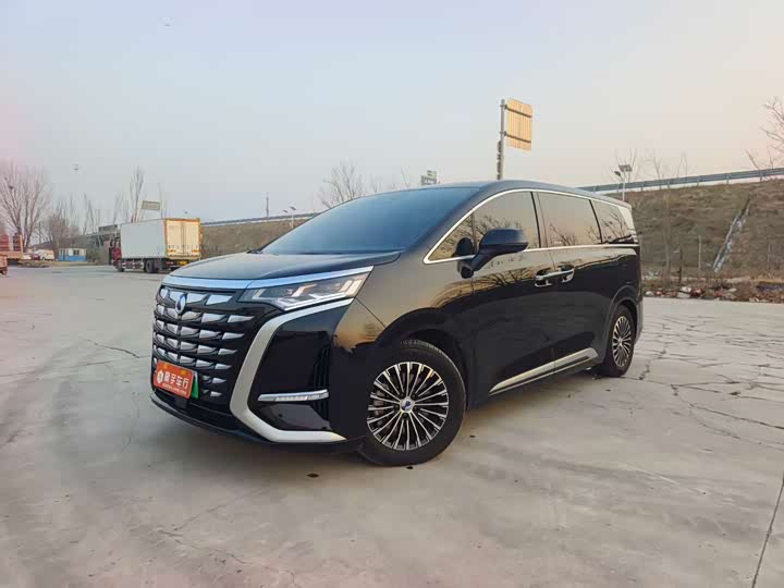 Фото 1 - Denza D9