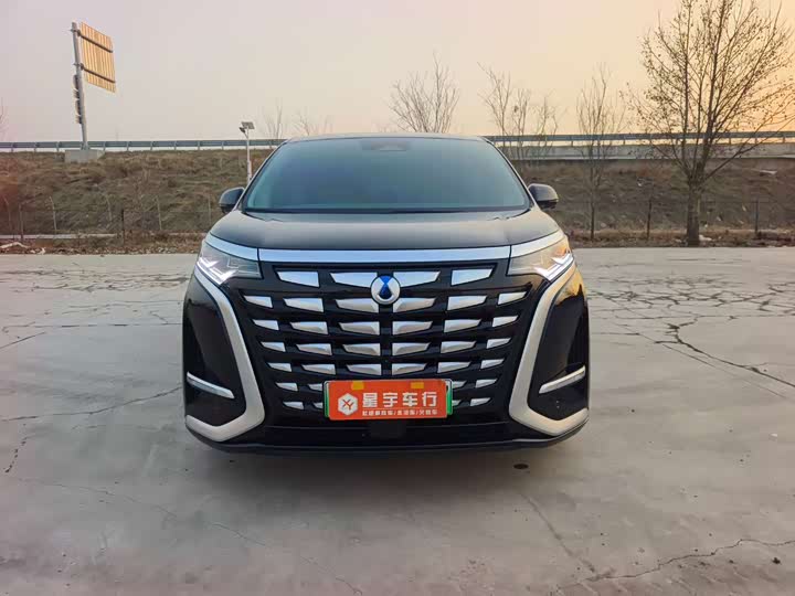 Фото 2 - Denza D9