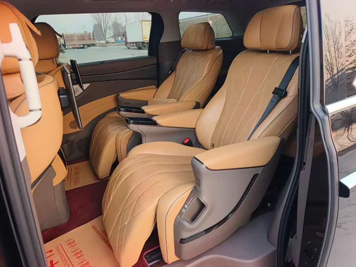 Фото 8 - Denza D9