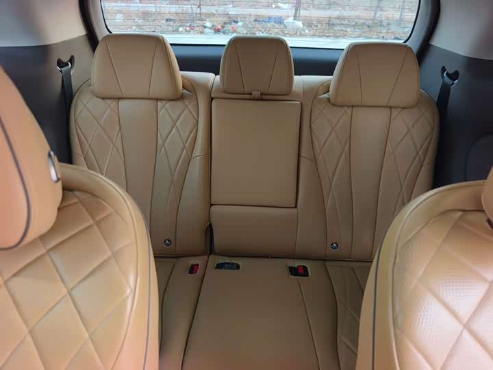 Фото 9 - Denza D9