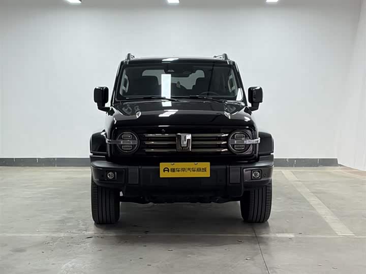 Фото 3 - Tank 300